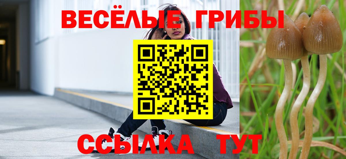Псилоцибиновые грибы Cubensis  Галлюциногенные грибы прущие грибы  Воркута  Вход с VPN 
